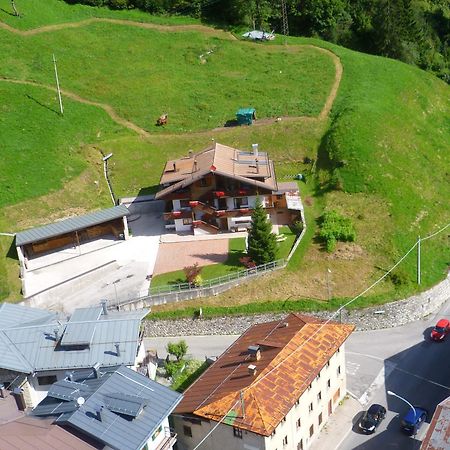 Appartamenti Patrizia San Pietro di Cadore Ngoại thất bức ảnh
