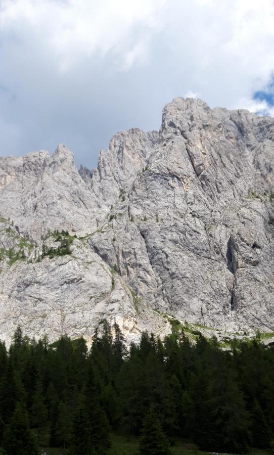 Appartamenti Patrizia San Pietro di Cadore Ngoại thất bức ảnh
