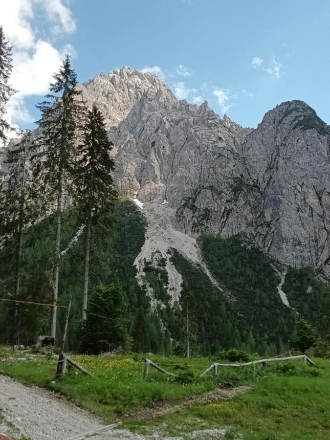 Appartamenti Patrizia San Pietro di Cadore Ngoại thất bức ảnh