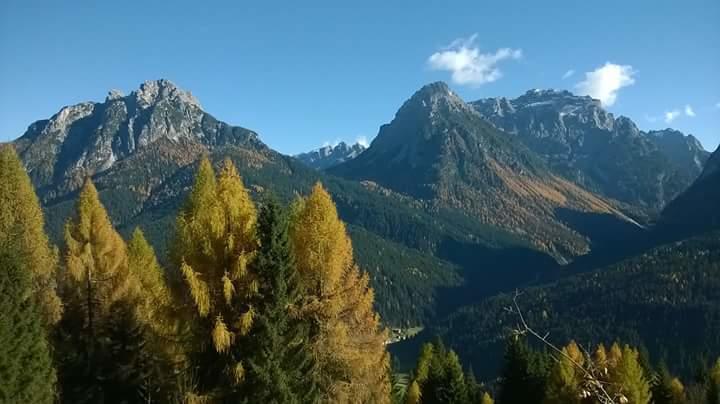 Appartamenti Patrizia San Pietro di Cadore Phòng bức ảnh