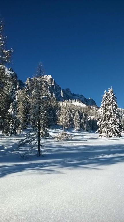 Appartamenti Patrizia San Pietro di Cadore Ngoại thất bức ảnh