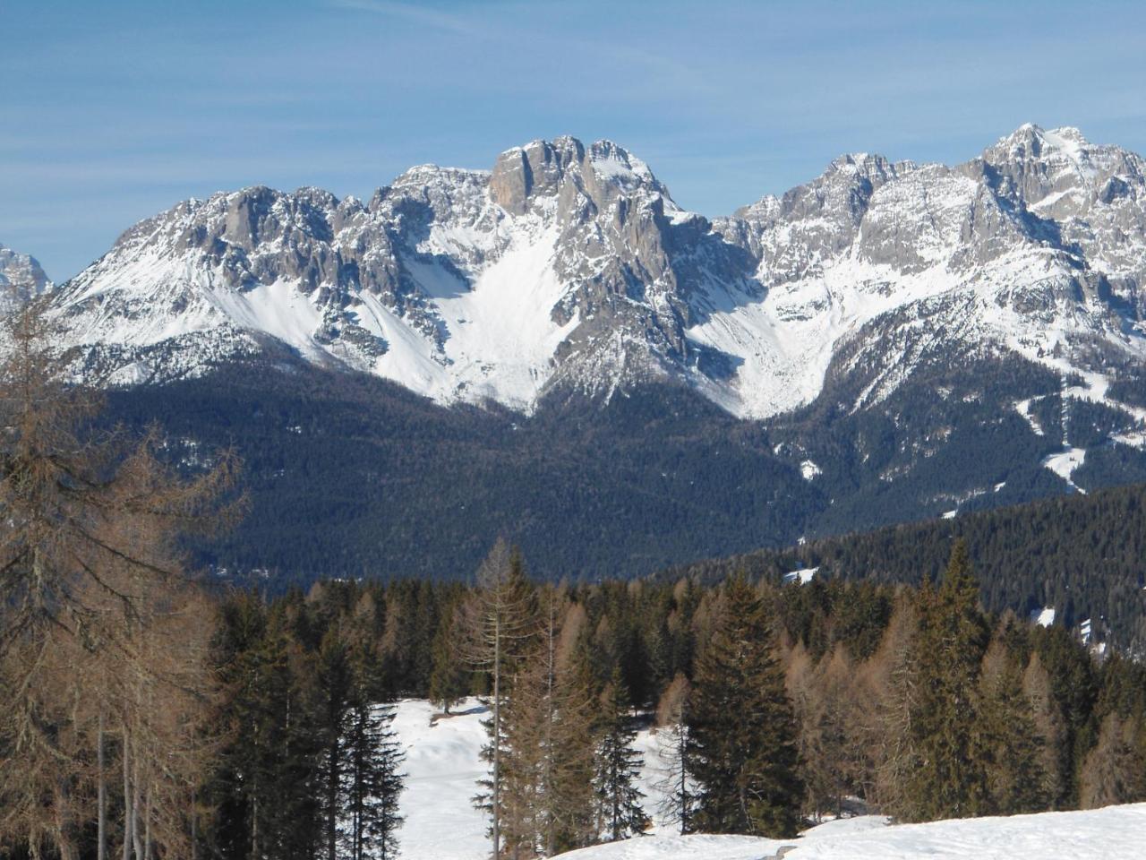 Appartamenti Patrizia San Pietro di Cadore Ngoại thất bức ảnh